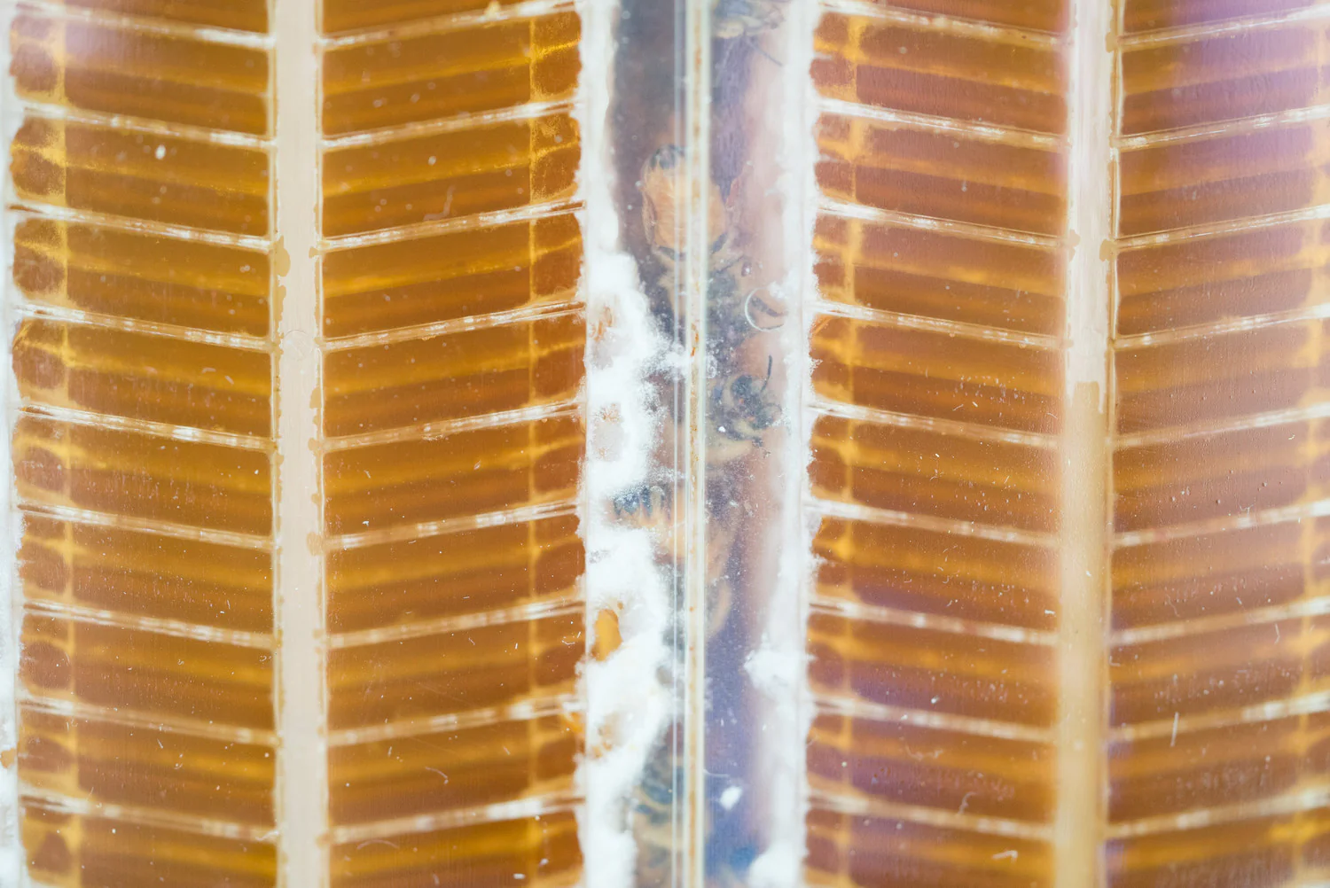 Flow Frames - Image 9