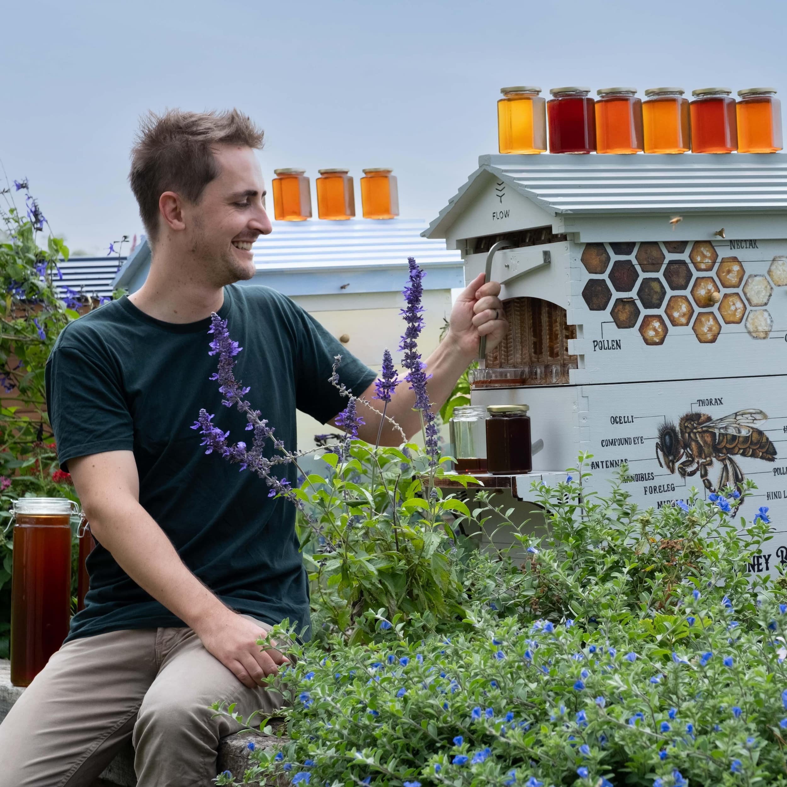 Flow Hive 2 - Image 5