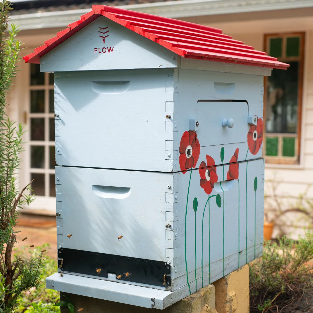 Flow Hive Classic Upgrade Kit - Image 5