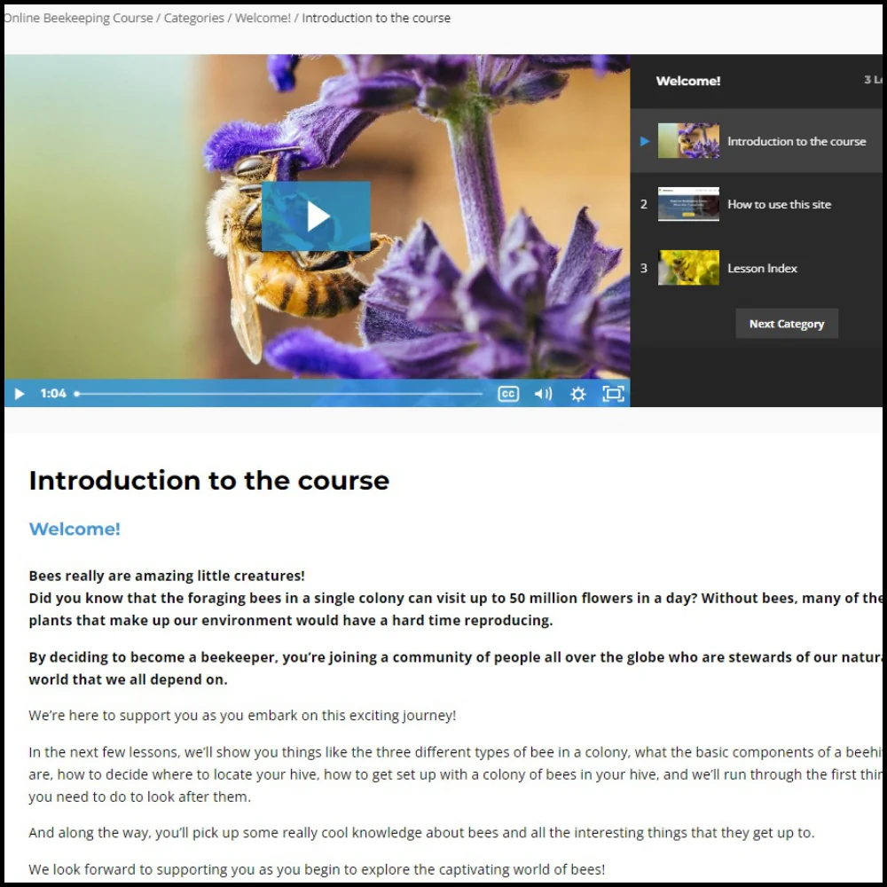 Online beekeeping course - monthly subscription - Image 3